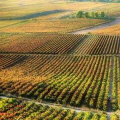 Los Colores de la Rioja, El rojo - 3 días 