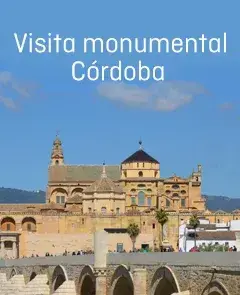 Visita Monumental de Córdoba